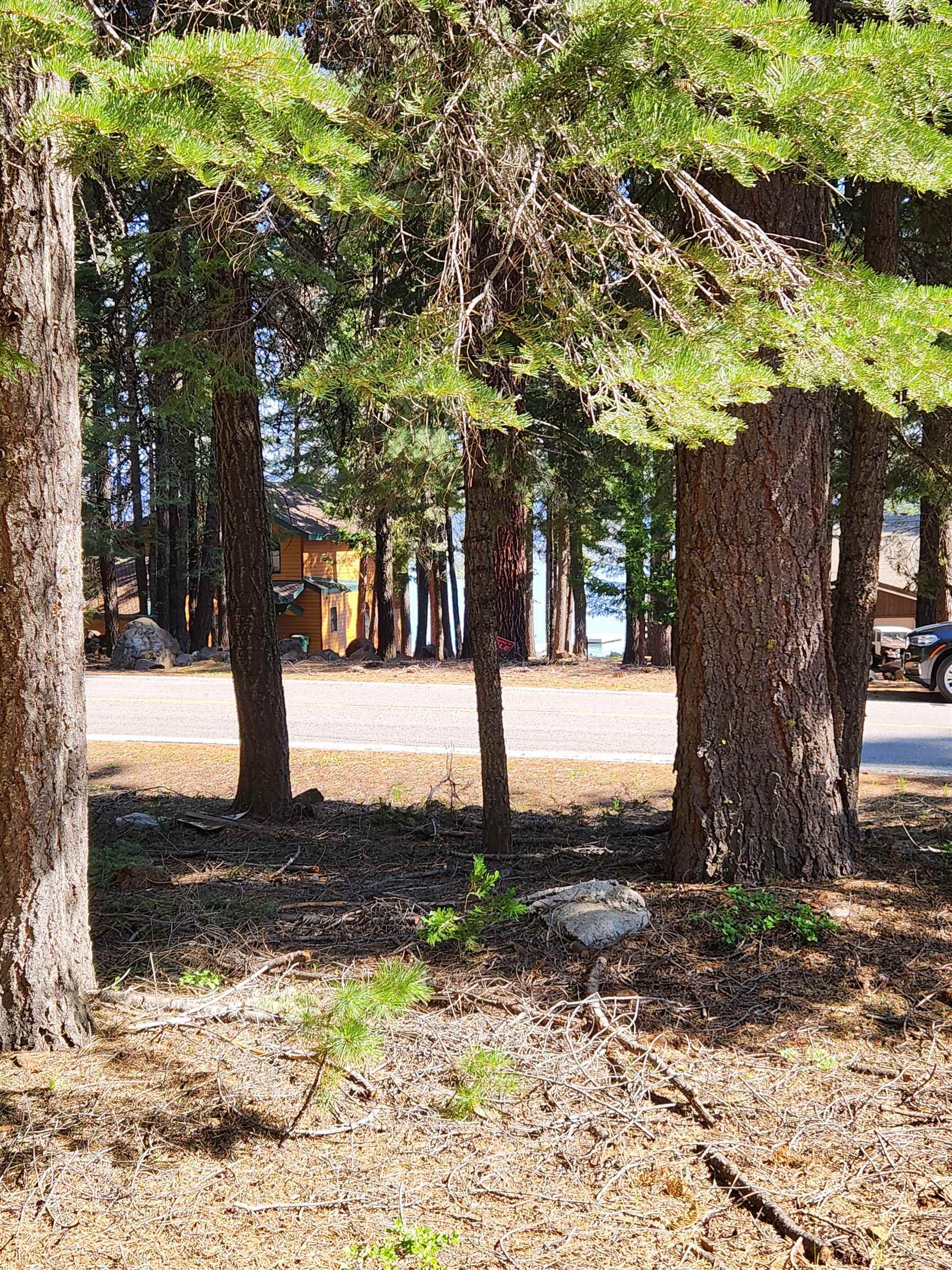 262 Lake Almanor West Drive 1 Lake Almanor West, California 96020