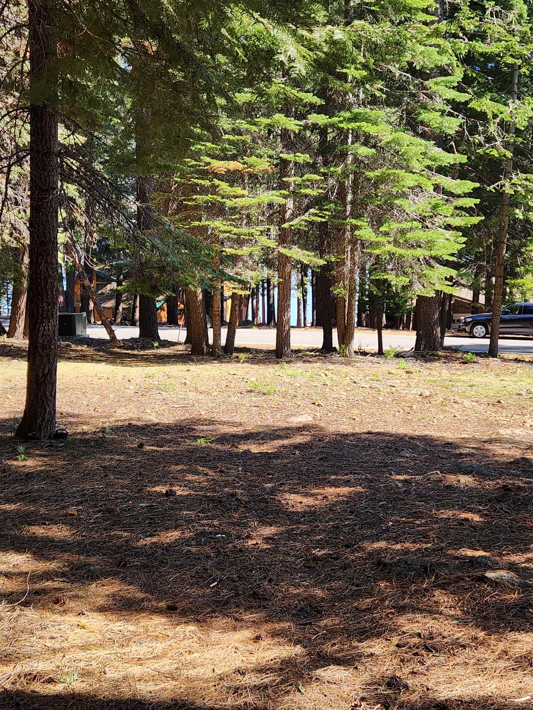 262 Lake Almanor West Drive 1 Lake Almanor West, California 96020