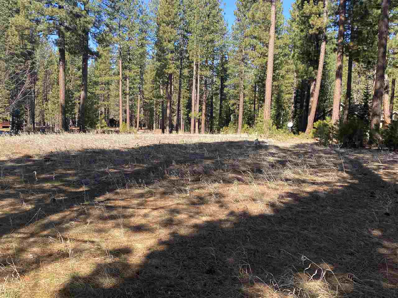 44 Black Bear Trail VI Clio, California 96106 20230563 Plumas