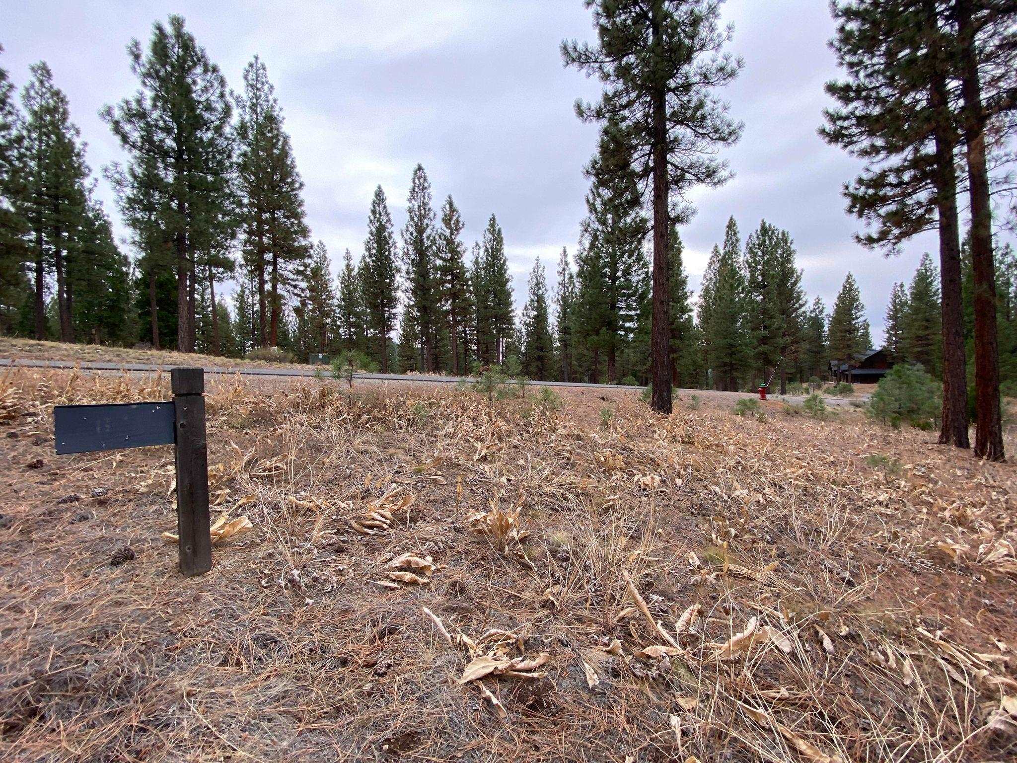 185 Blacktail Ridge Portola, California 96122 20231071 Plumas