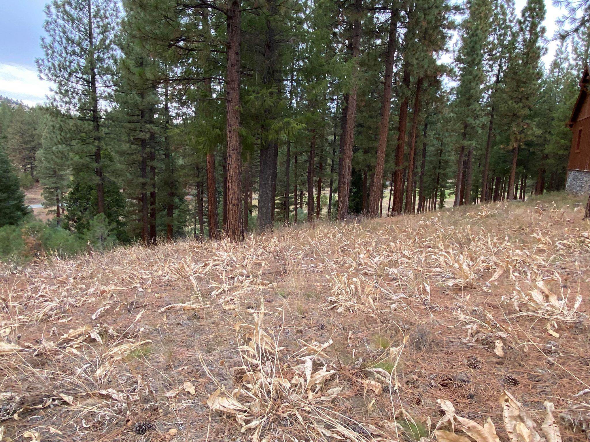 185 Blacktail Ridge Portola, California 96122 20231071 Plumas