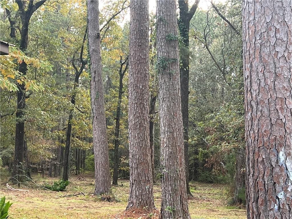 Homes for sale in Pineville, LA | 415 Timber Lane, Pineville, LA 71360 | MLS# RACN2478913