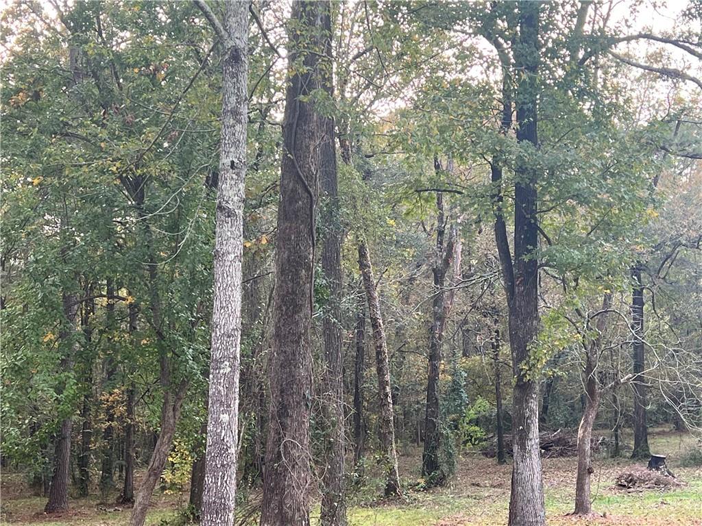 Homes for sale in Pineville, LA | 415 Timber Lane, Pineville, LA 71360 | MLS# RACN2478913