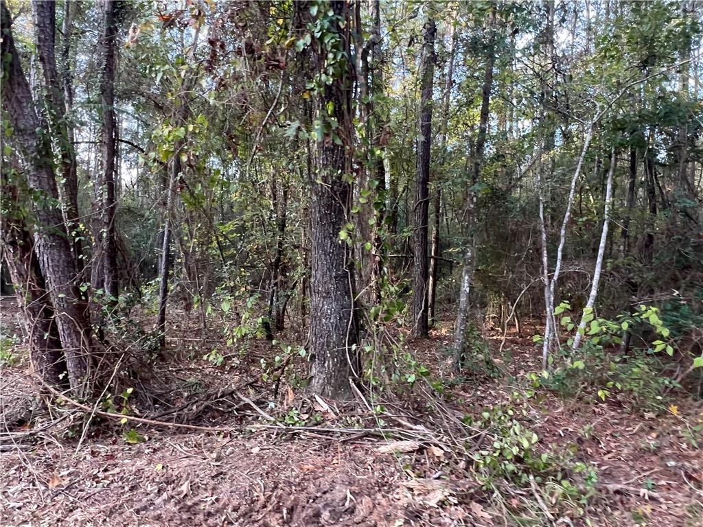 Homes for sale in Pineville, LA | 415 Timber Lane, Pineville, LA 71360 | MLS# RACN2478913