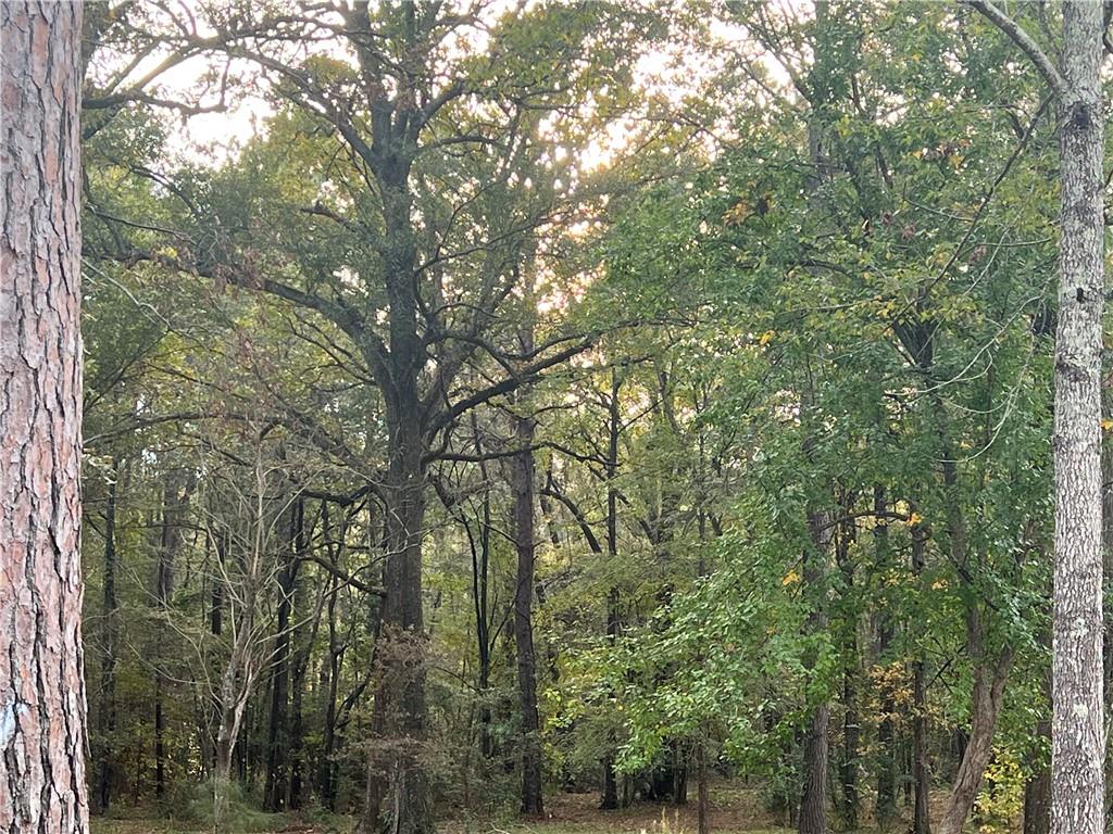 Homes for sale in Pineville, LA | 415 Timber Lane, Pineville, LA 71360 | MLS# RACN2478913