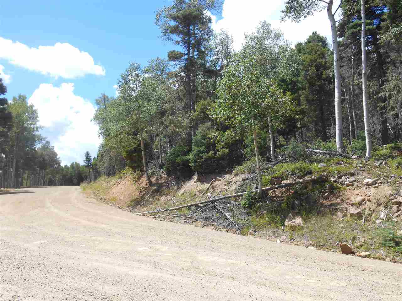 Heavily wooded 1.79 acre lot with various views of east valley rim depending on building site.  Property has nice mix of aspen, pine, blue spruce trees, and mountain vegetation.  Good year-round access via village maintained road.