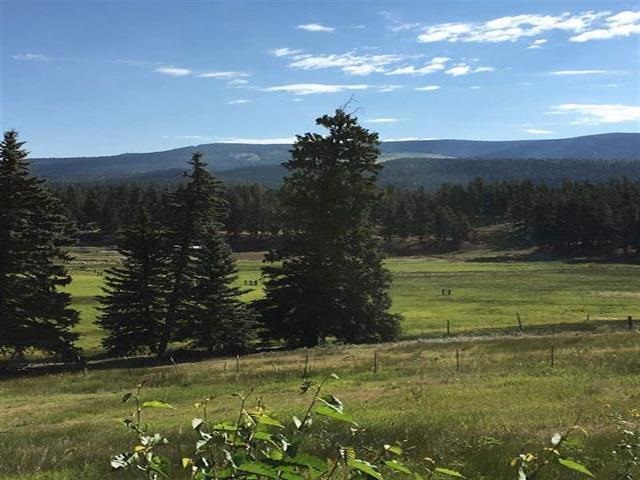 Absolutely gorgeous 3 acre lot tucked away six miles from the heart of Angel Fire. Big views of Wheeler Peak and beautiful grassy meadows with mature pines. Small year round stream on property. The perfect place to build your dream home. Road maintained by county to the gate after the gate it is about a block to the property. Power close by and you must drill a well. No covenants. Rare find to be so close to Angel Fire with this view, yet be secluded.
