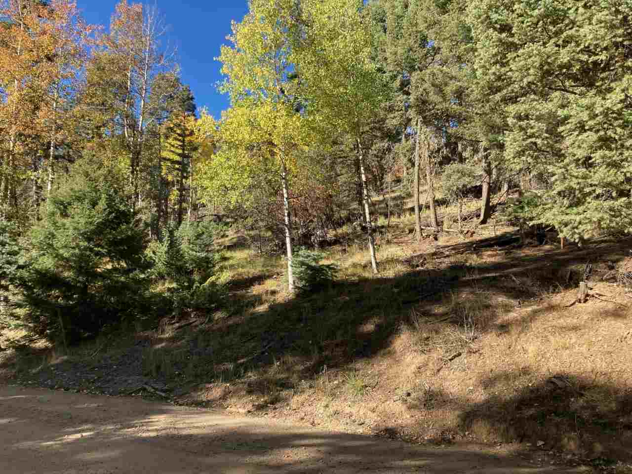 Tract G 1 Taos Dr, Angel Fire, NM 87710
