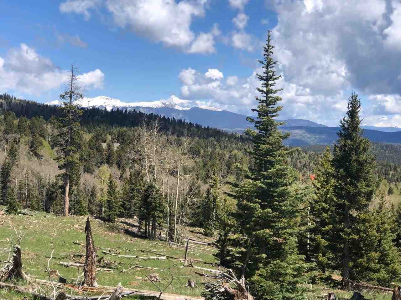 See it all from the top! Fantastic Views of Wheeler Peak, Eagle Nest Lake and the Moreno Valley. Plus it backs up to national forest. On over 18+ acres of beautiful forest. Please be aware there is currently a high demand for electric transformers and there may be a delay in acquiring one for new construction.