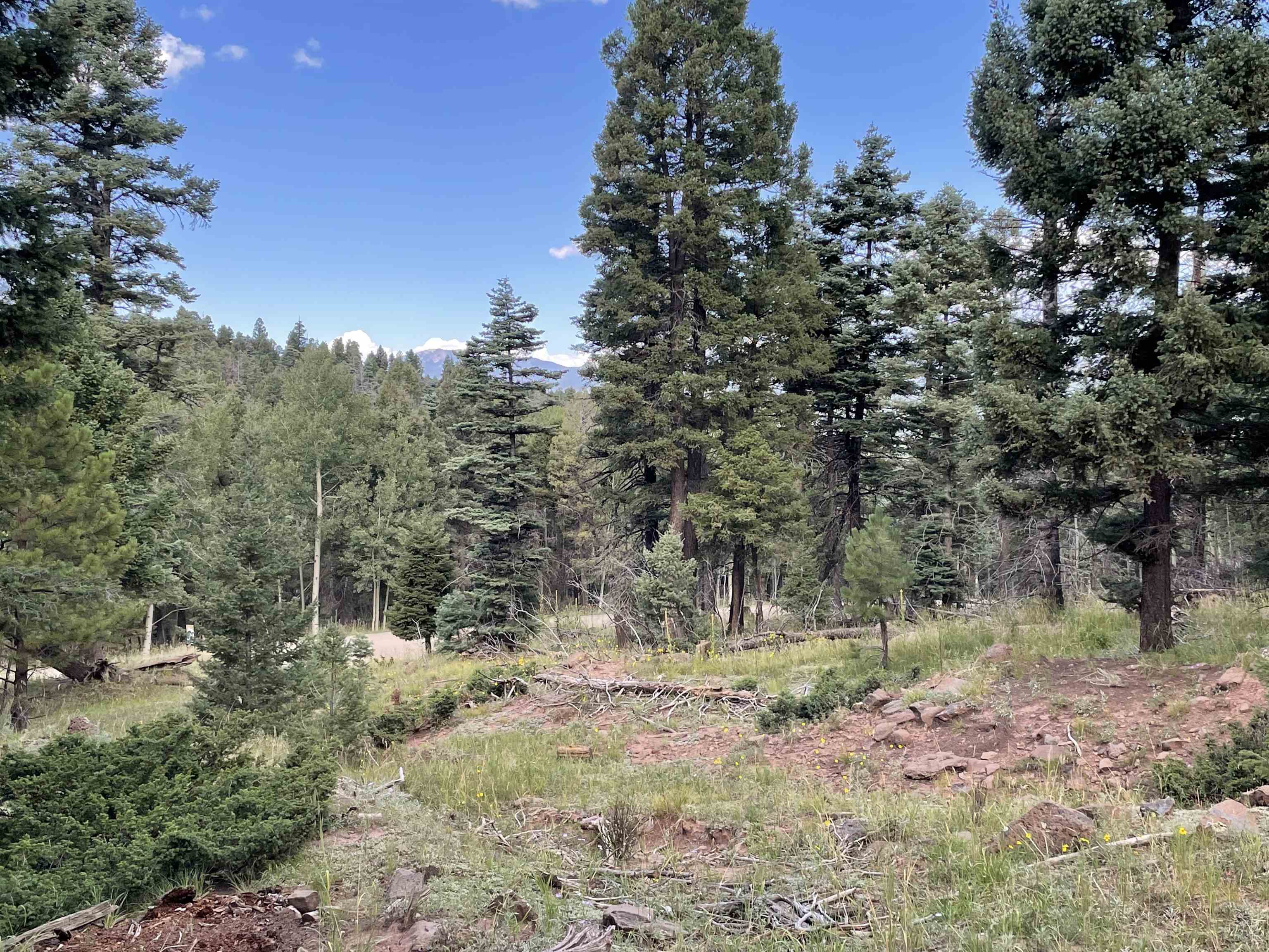 Angel Fire Homes  "Own A Piece Of The Valley"