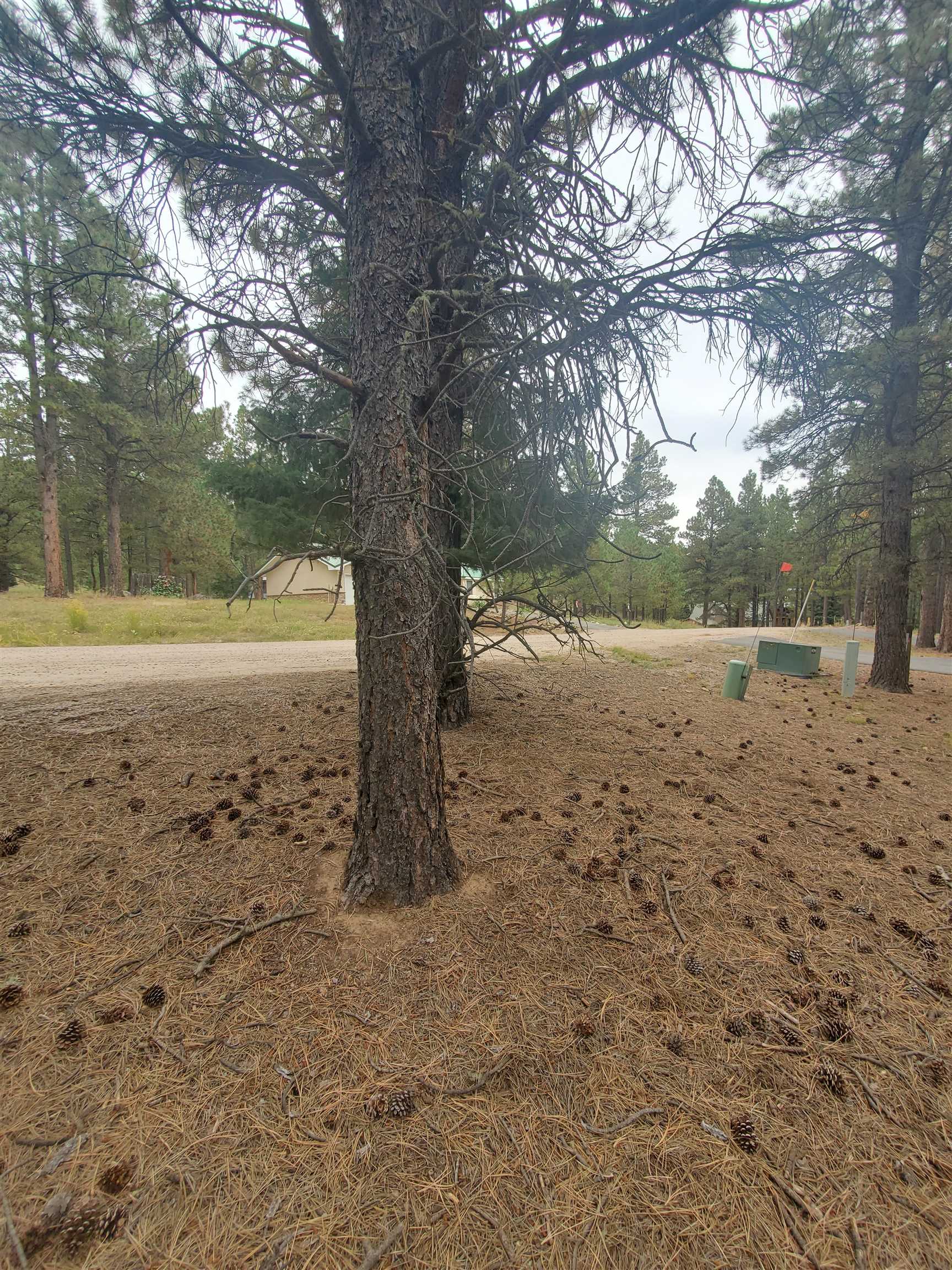 Lot 1230 Quivera Rd, Angel Fire, NM 87710