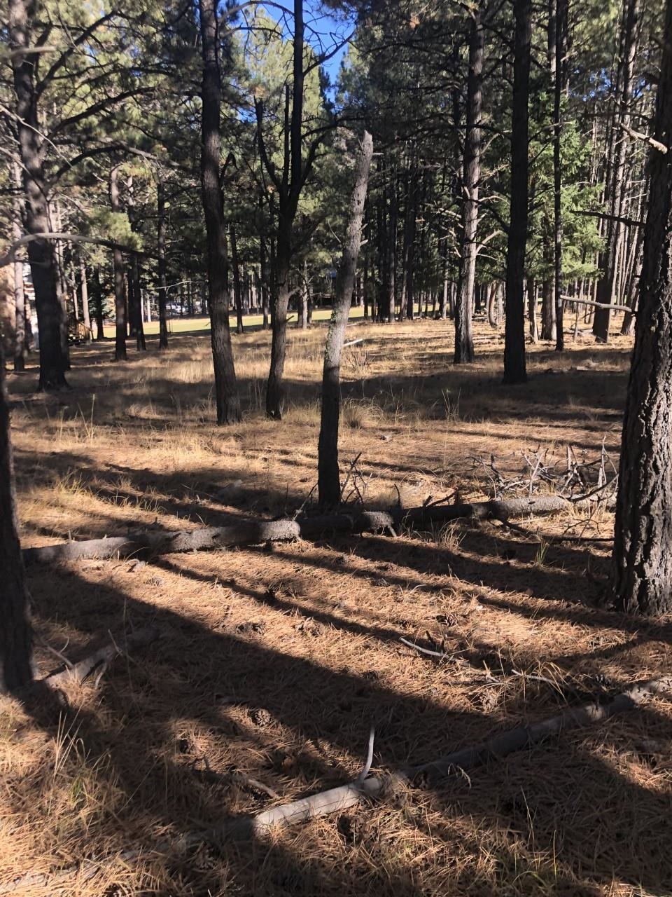 Lot 16 St Andrews Way, Angel Fire, NM 87710