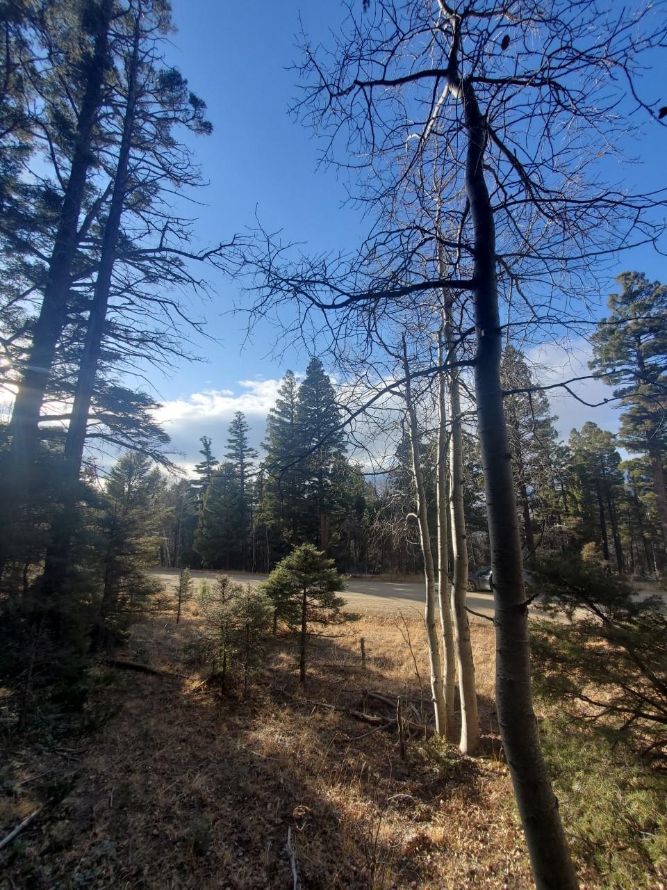 Great lot with tons of potential and excellent location. Build your future mountain paradise on this small piece of serenity.
