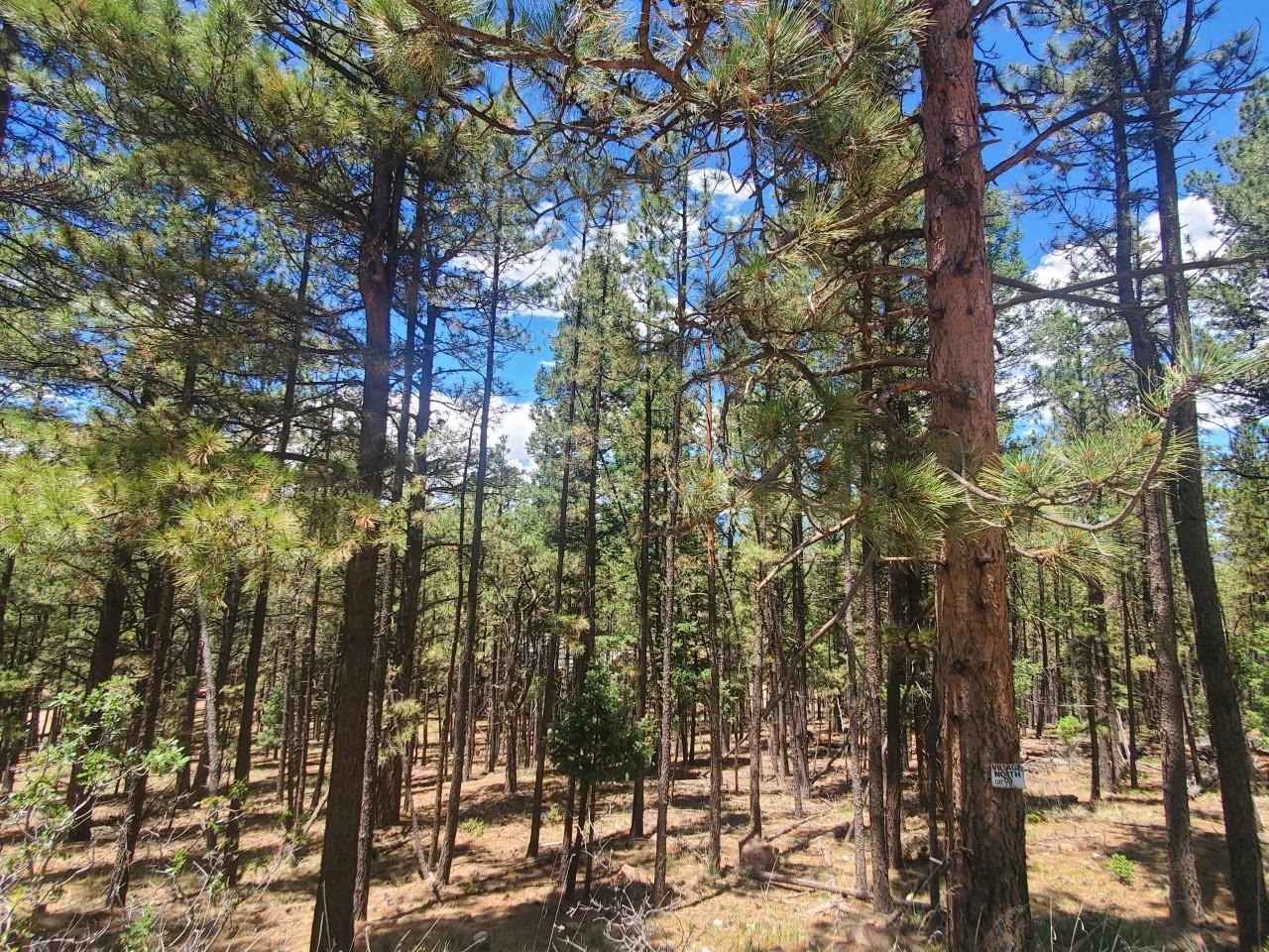 Incredible acreage zoned high-density residential (R-3) in Angel Fire, NM. Located just 2 tenths of a mile from the base of the Chile Express chairlift. What a great opportunity with fantastic views!