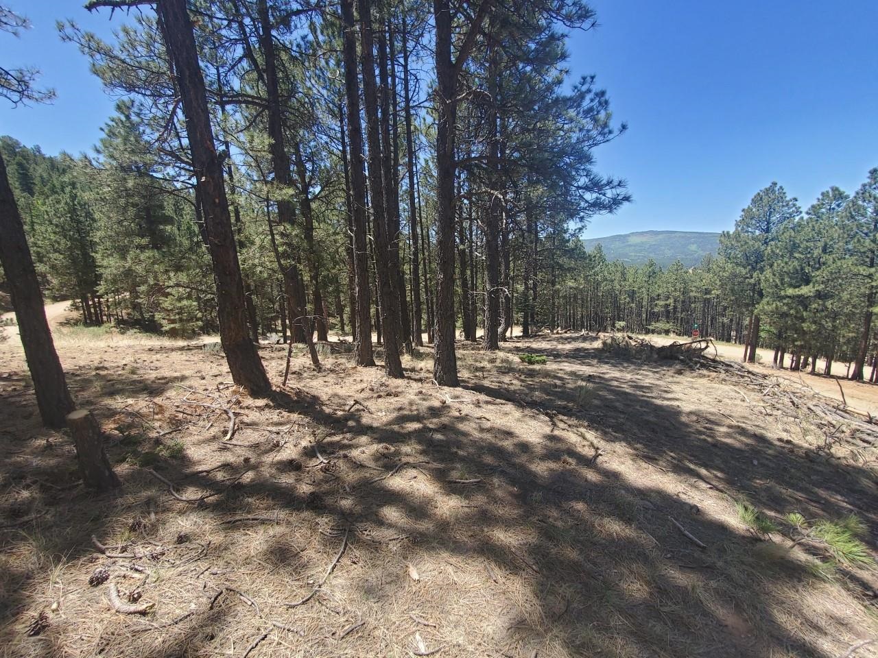 This is a fantastic location with beautiful views! Enjoy the privacy and serenity of living in the mountains and also the convenience of being so close to the great attractions of Angel Fire. Less than a minute drive from the ski slopes and the bike park and just a few more from Monte Verde Lake.