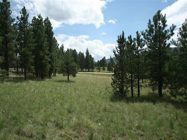Beautiful land in Whyman's Black Lake Estates. Flat buildable lot with mature and new growth pine trees. Year round access and just a quick trip in to Angel Fire to enjoy skiing and golfing.