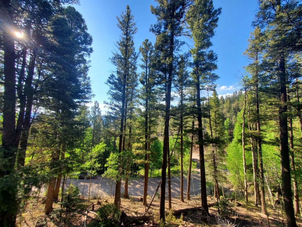 Great wooded lot with plenty of potential! There can be some amazing views with some maintenance and lot clearing. The location is ideal being so close to the slopes offering a great rental opportunity. Build your dream home in the mountains on this beautiful lot!