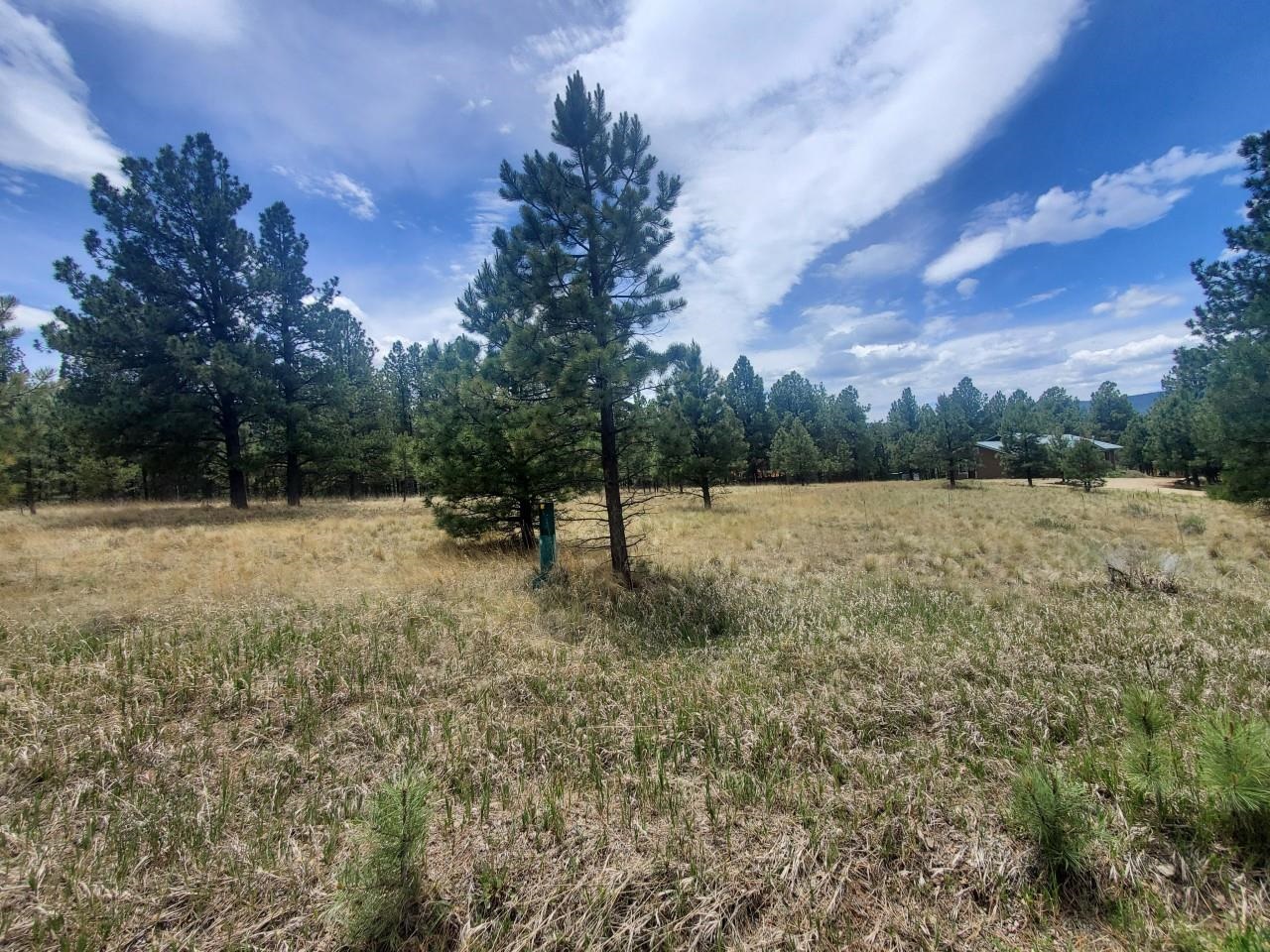 Great Location with a great opportunity! This lot is so close to the Angel Fire Resort and the PGA rated golf course and is accessible year round. The Angel Fire Community Center is within walking distance and offers various activities and a children's playground. So much to do in the area whether its enjoying the ski slopes and snow in the winter or biking/hiking/fishing/golfing in the cool temperatures of the summer.