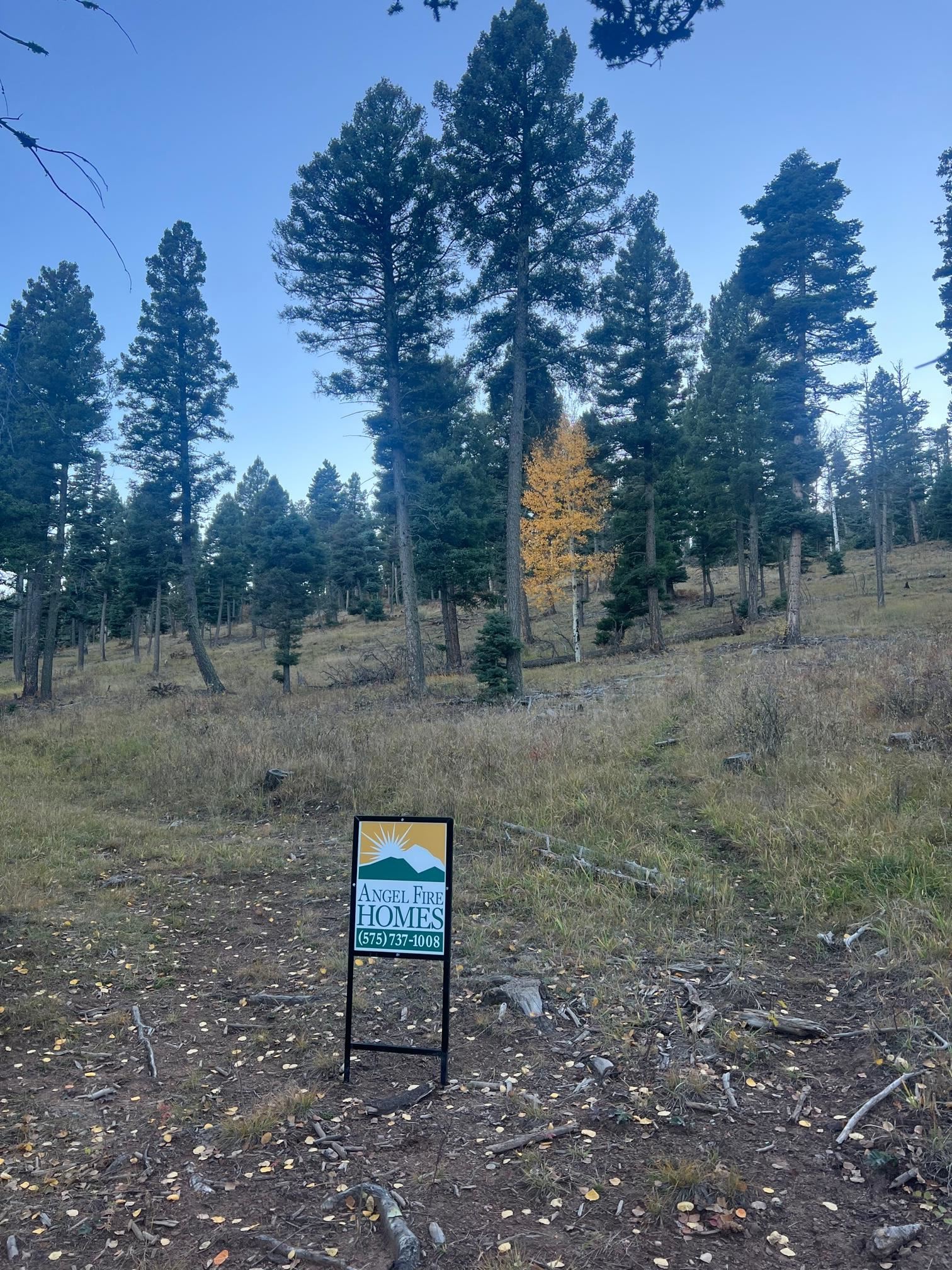 TBD Forest Road 76 Lot 4