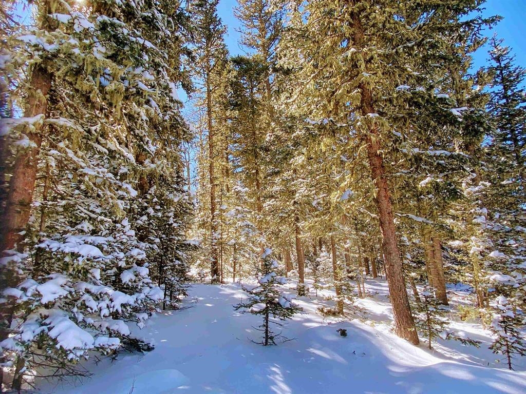 SKI ACCESS LOT!! Very close to the cross country ski trail and the top of the ski area. Great flat lot make it an easier build. Great Value!