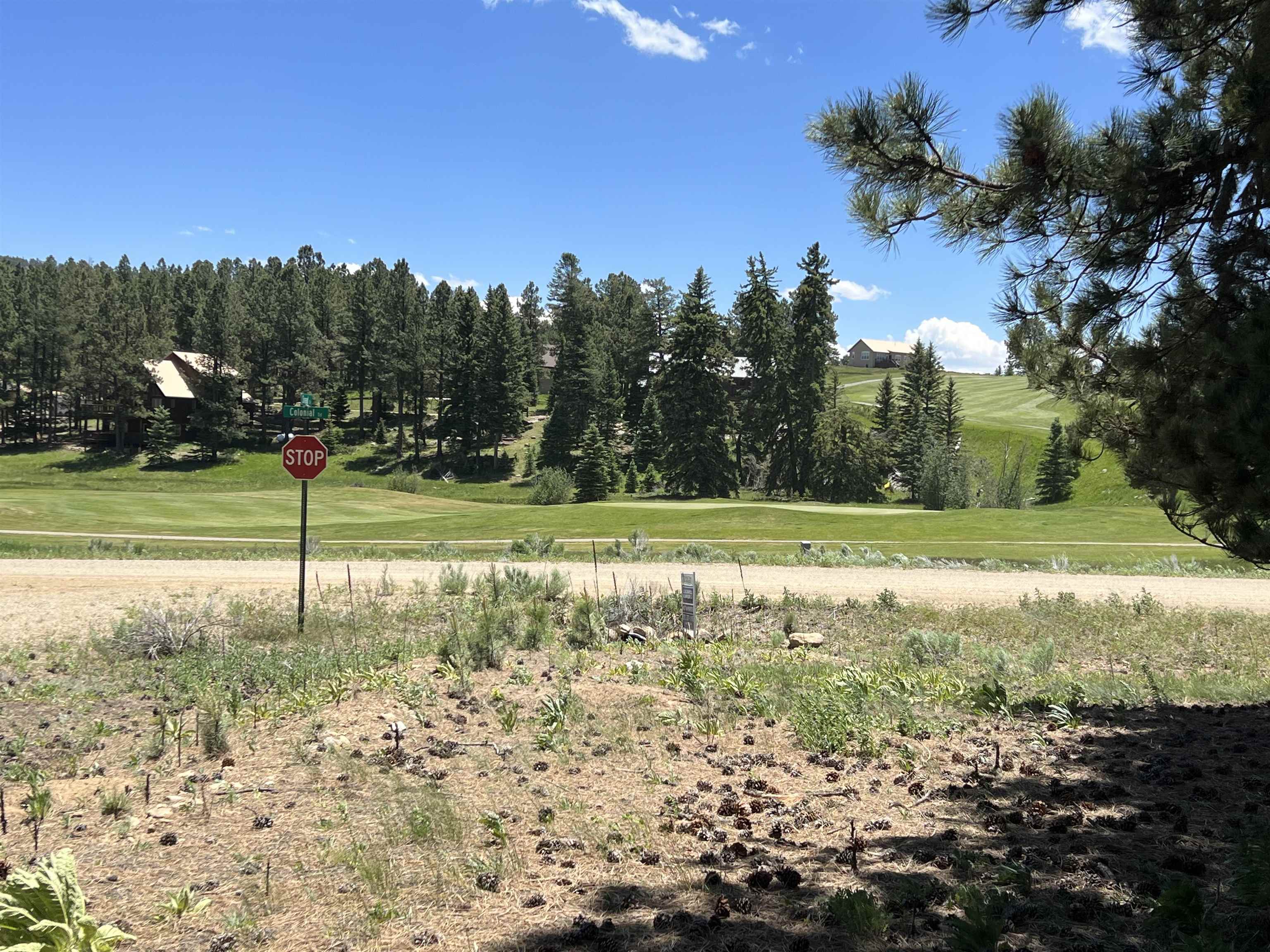 This extraordinary lot with majestic views is right next to the PGA rated golf course and just minutes from the Angel Fire Resort ski mountain, and other resort amenities including hiking trails, trout-stocked lake, country club, gym, tennis/pickleball courts and a nationally recognized mountain bike terrain park. Surrounded by other luxurious homes this is the perfect lot to build your dream home.