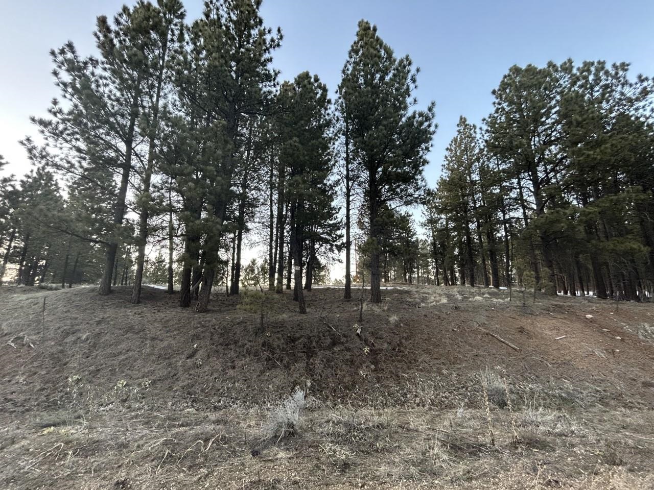 Beautiful lot with views of the ski mountain and Wheelers Peak. Gently sloped makes for a easy build. Located in the center of town right next to the Angel Fire Resort ski-mountain, and just minutes from other resort amenities including the PGA rated golf course, hiking trails, trout-stocked lake, country club, gym, tennis/pickleball courts and a nationally recognized mountain bike terrain park.