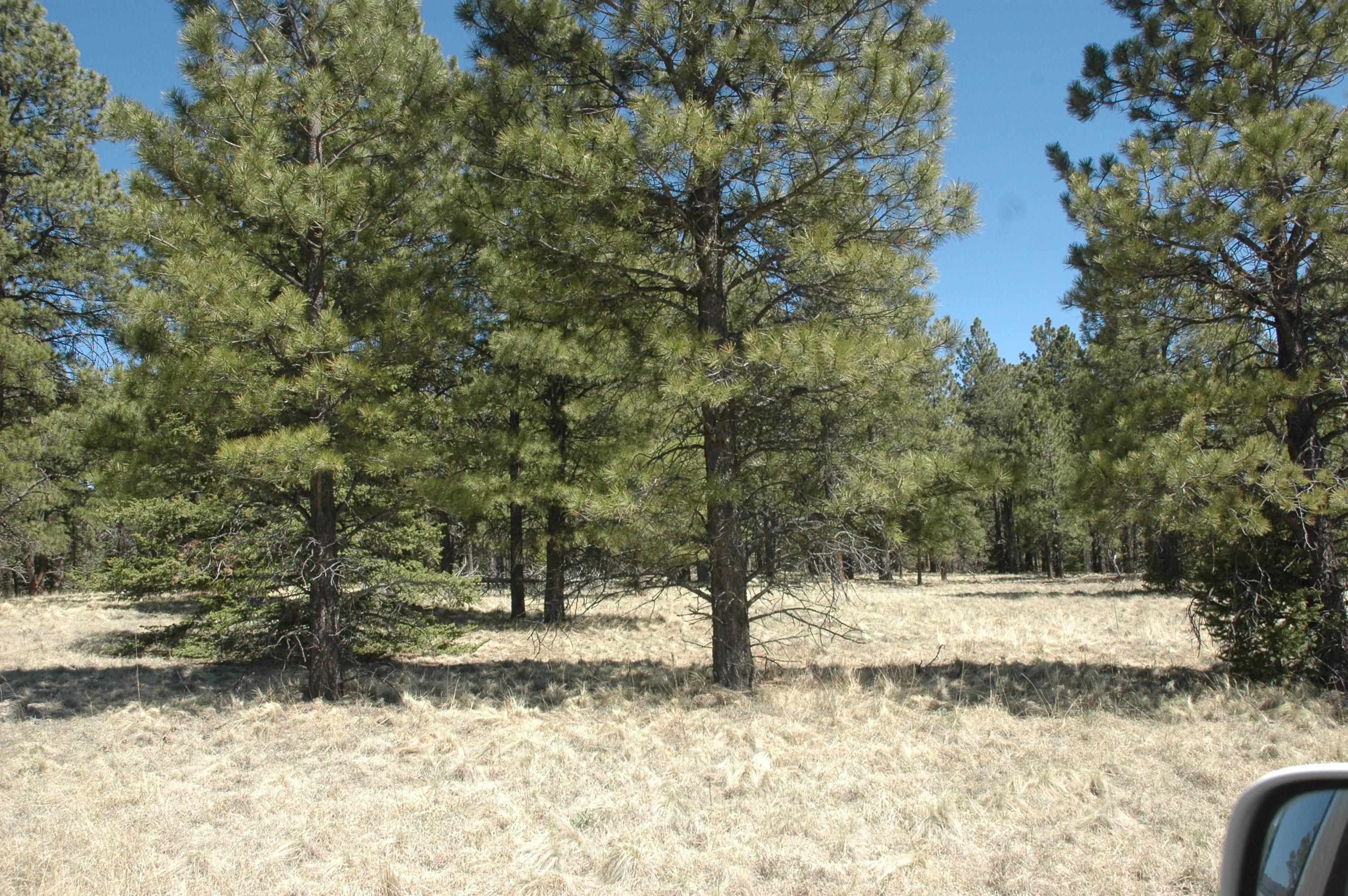 tract mora ranch rd, angel fire, NM 87710