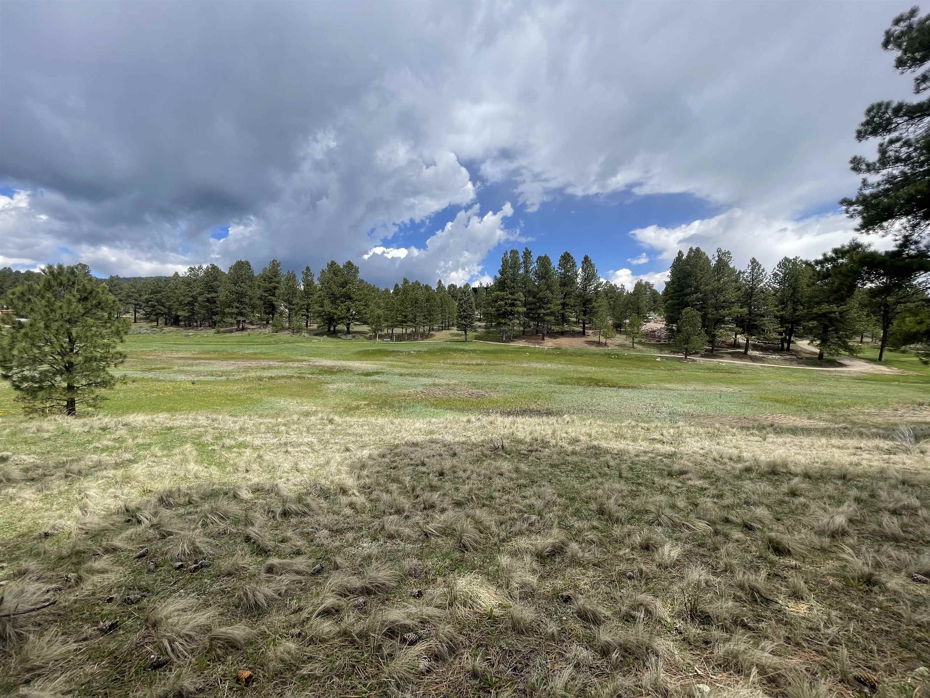 Lot 1134 Spyglass Hill Rd, Angel Fire, NM 87710
