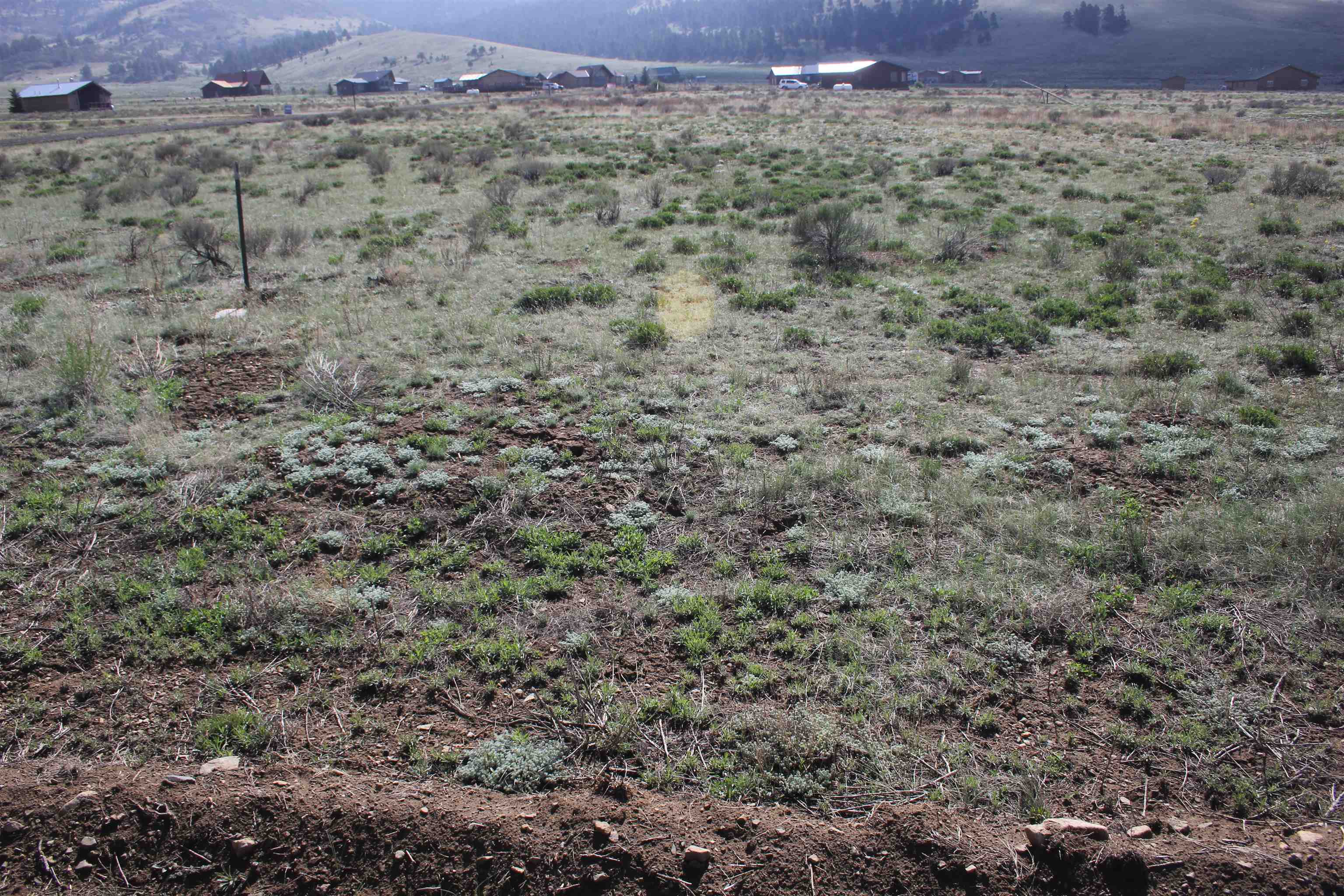 Lot 3 Smokey Bear, Eagle Nest, NM 87718