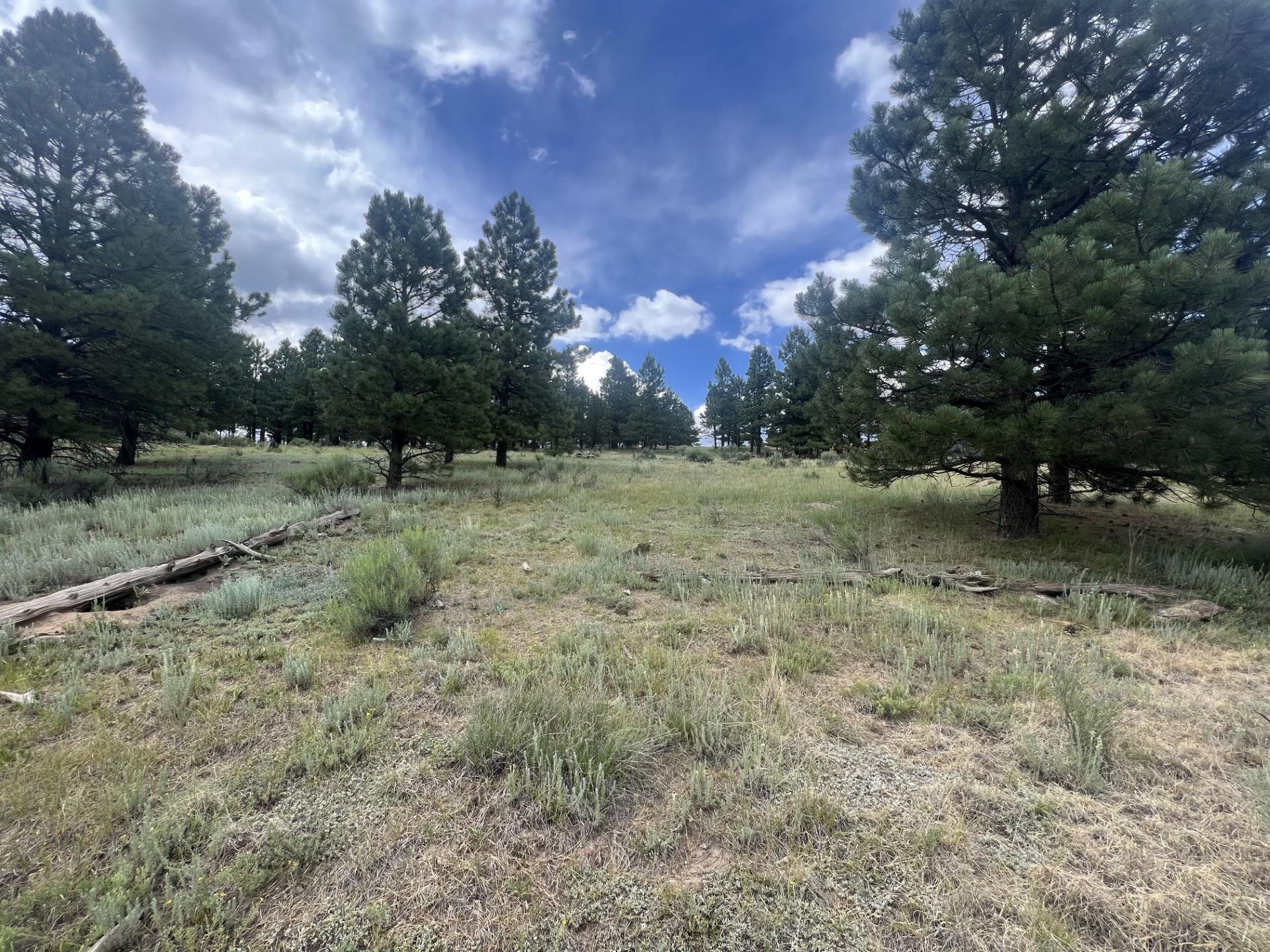 Beautiful lot with great mountain views right next to the PGA rated golf course and just minutes from the Angel Fire Resort ski-mountain, and other resort amenities including hiking trails, trout-stocked lake, country club, gym, tennis/pickleball courts and a nationally recognized mountain bike terrain park. Surrounded by other luxurious homes this is the perfect lot to build your dream home.