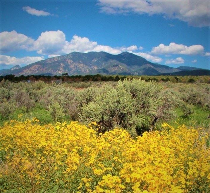 CANON FOOTHILLS (09B)