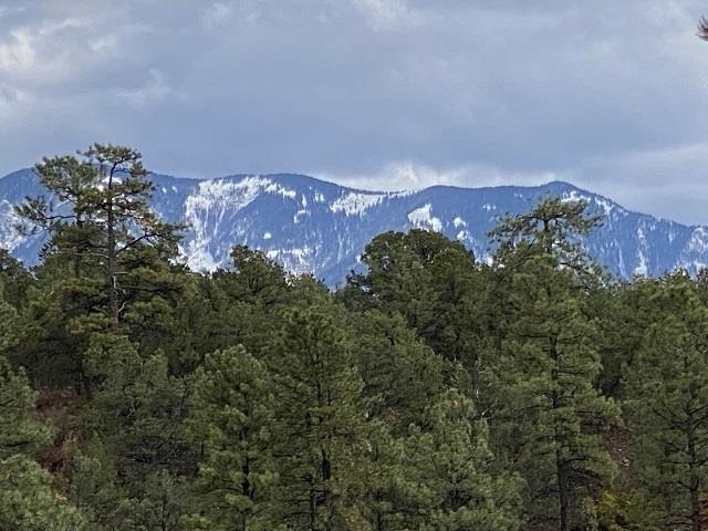 VALDEZ NORTH (49B)