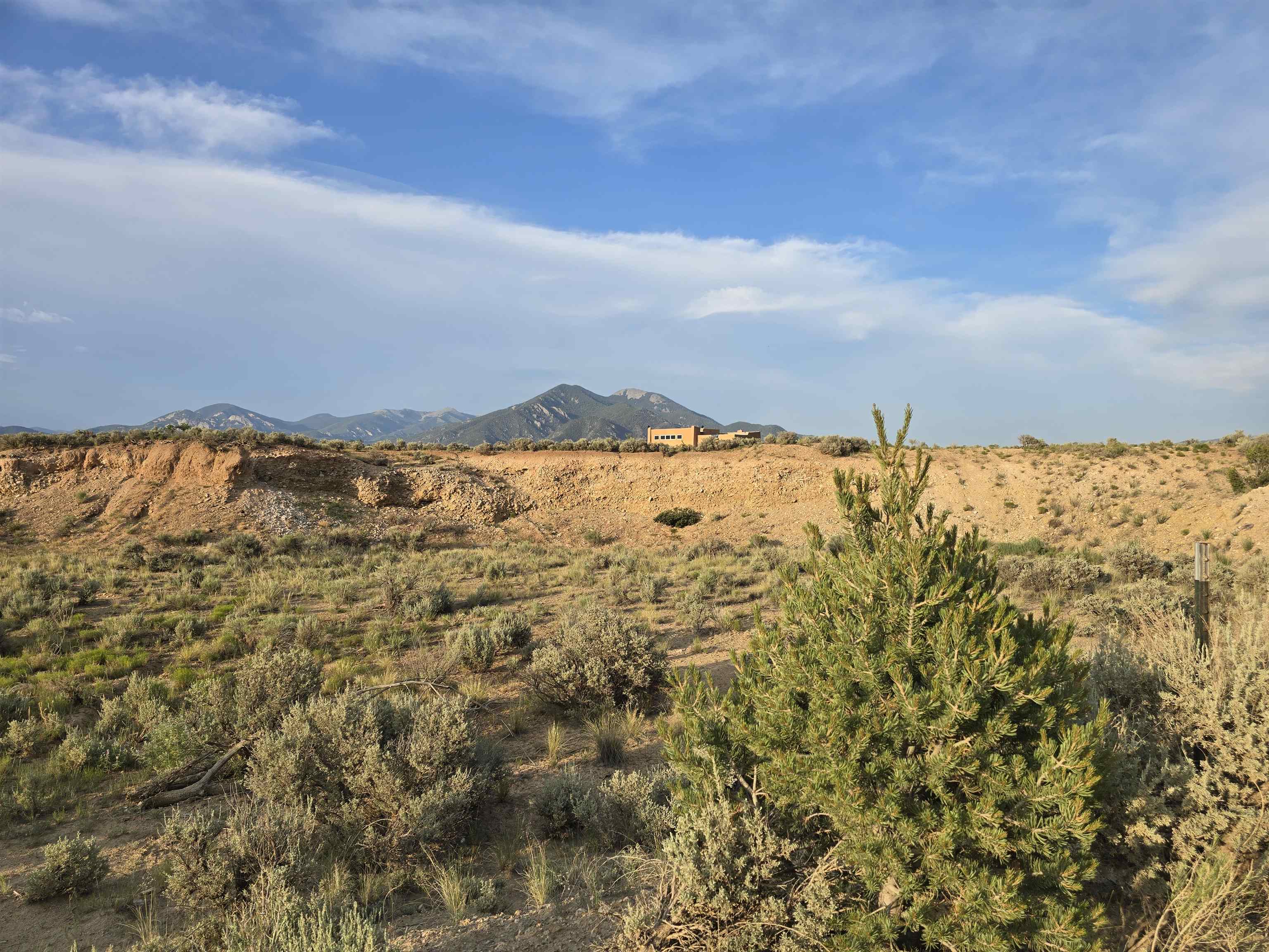 BLUEBERRY HILL (07A)