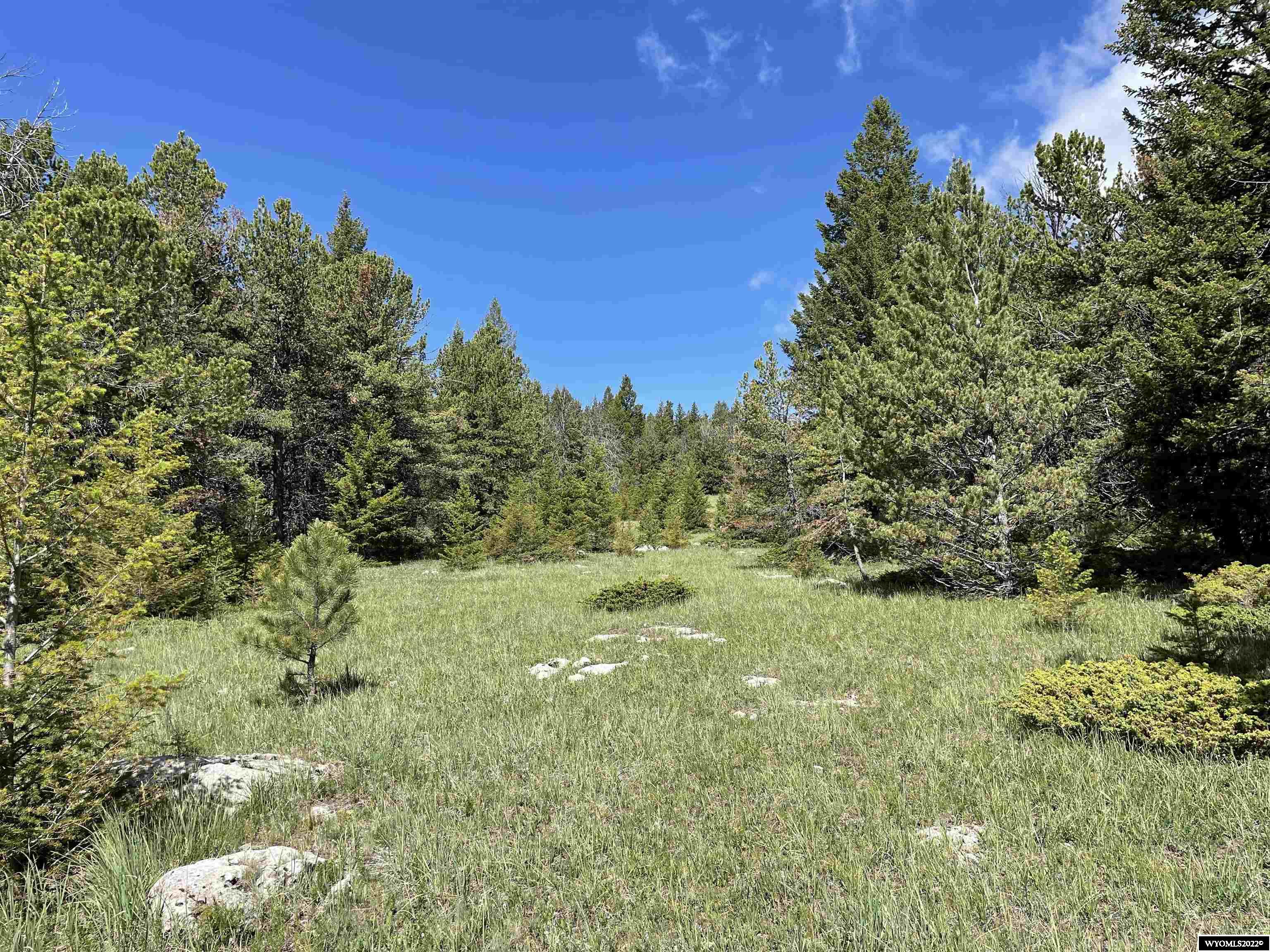 Beautiful and secluded mountain property off of Billy Creek Road.  Tremendous views, heavily treed in some areas plus open meadows.  You have it all! There is a small cabin on the property that is in good condition with a wood stove.  Sellers have partially set up a kitchenette in the cabin where they have hauled water. There are some beautiful cabin sites on this property. Great hunting property with bear, elk, deer, moose and blue grouse. Call Cristy Kinghorn 307-620-0037.