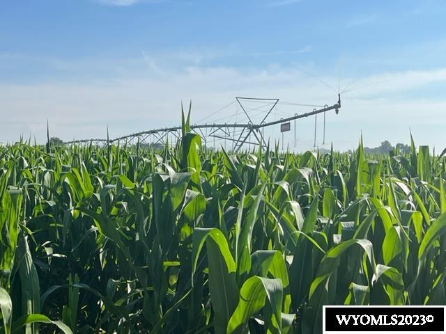 Good farm ground with a new center pivot sprinkler system, Zimmatic. Tennant Farmer is in place for the 2023 year and would be willing to farm into the future.  Only the corn field is for sale and a survey will be completed .  The property is Realtor owned.