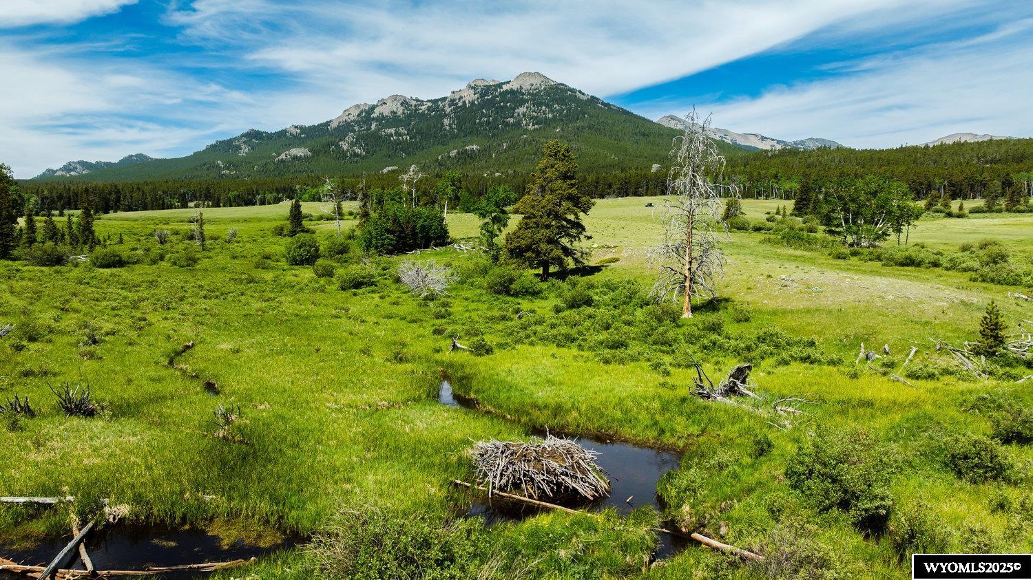 For the first time ever, this Historic Hazelton Peak Retreat mountain property is now for sale. Located in the heart of the Big Horn Mountains just 40 minutes west of Buffalo, Wyoming and 30 minutes east of Ten Sleep, Wyoming.  Four hundred and seven acres (407 +/- deeded acres) located under the heart of the Hazelton Peaks and border to over 1,000,000 acres of Forest Service and Wilderness Lands. This is the Historic Hazelton Stage Stop! Peaked in history, Hazelton, Wyoming, was a stage stop and post office for many local Buffalo, Kaycee, and Ten Sleep ranchers, sheepherders, and outfitters and was a buzzing mountain community in the late 1800,s through the early 1900’s. You can still hear the whispers of time and place blowing through the remaining buildings and surrounding land that make this such a unique offering.  A short and scenic drive from downtown Buffalo, Wyoming, Historic Hazelton Peak Retreat has everything to offer any discerning outdoors person. Many species of Big Game, including Elk, Deer, Antelope and Moose populate this mountain landscape. Hunting, fishing (two tributaries on this property), snowmobiling, skiing (a local ski area- Meadowlark – is just 20 minutes away), hiking, climbing, and all things outdoors, not to mention the amazing scenery on and around this gorgeous mountain retreat. At elevations ranging from 8,000 to 8,400 feet, Historic Hazelton Mountain Retreat is your chance to own a Legacy Ranch in the heart of the Big Horn Mountains!