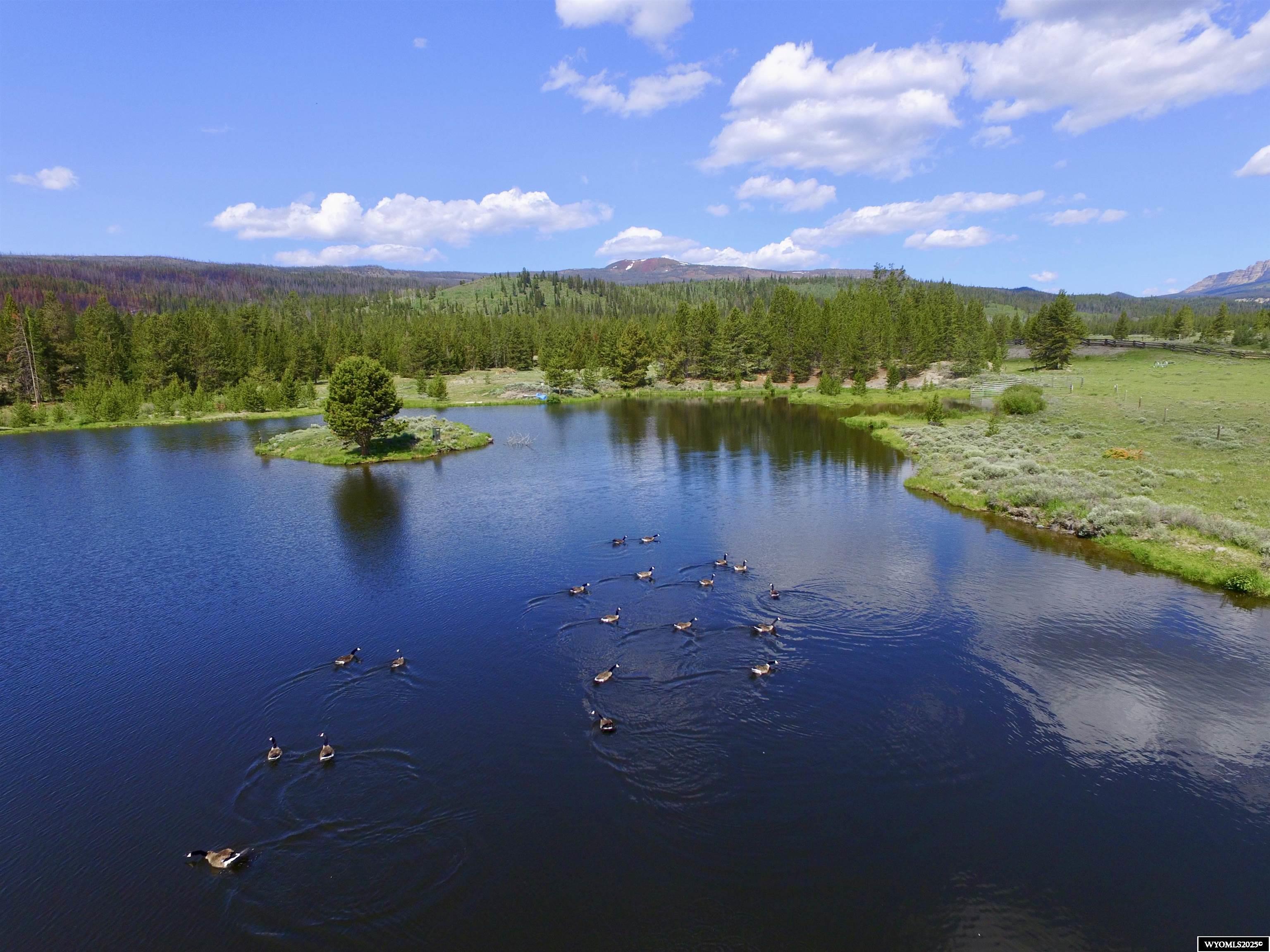 Discover a rare recreational opportunity for the true outdoor enthusiast—35 pristine acres of Wyoming wilderness, perfect for building your dream cabin or lodge. Located just outside Dubois and offered by the renowned Lava Creek Guest Ranch, this exceptional parcel offers privacy, natural beauty, and unmatched access to adventure. The majestic Wind River flows through the property, ideal for fly fishing and relaxing by the water along with bordering a large fresh water pond. This is a haven for anglers and nature lovers alike. Enjoy panoramic mountain vistas from every corner of the land. Sunsets and wildlife sightings (moose included!) are part of the daily routine. Direct access to national forest land makes it easy to explore miles by horseback riding, hiking, or snowmobiling. Snowmobile or cross-country ski straight from your door in the winter; hike, ride, and fish in the warmer months. Whether you're looking for a private retreat, an off-grid escape, or a basecamp for year-round recreation, this unique property delivers. Peace, privacy, and unparalleled access to nature await. It's under 1 hour to Jackson Hole, the Jackson Hole Airport, world-class skiing at the Jackson Hole Mountain Resort plus an easy drive to Grand Teton and Yellowstone National Parks. Good news, Wyoming is a tax friendly state! Call us today for more information.